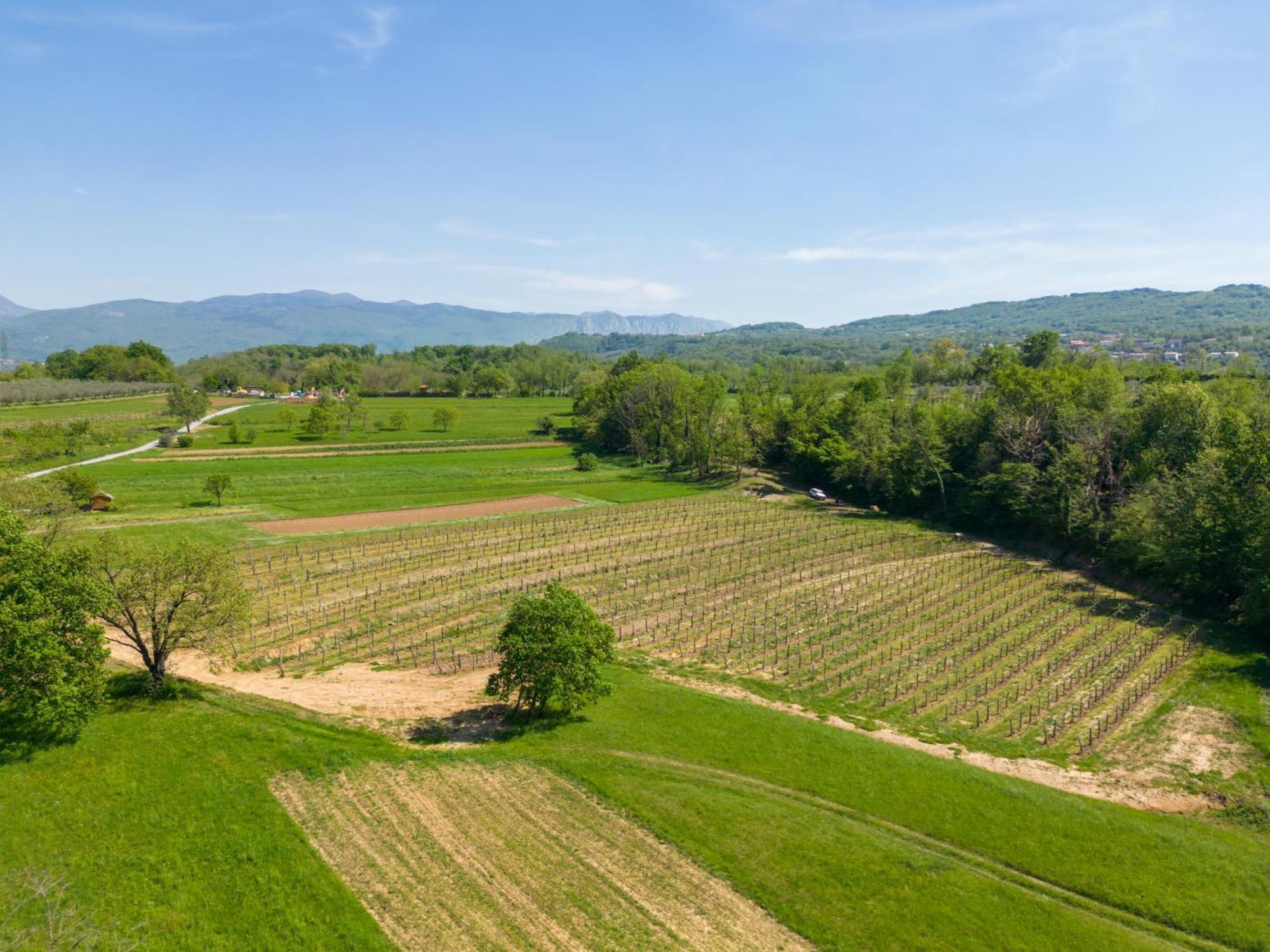 Appartamento Apartma Valic Ajdovščina Esterno foto